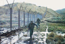 Two soldiers walking along the defoliated Korean demilitarized zone