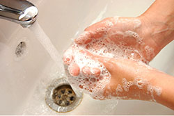 A pair of hands with soap suds, being washed under a faucet.
