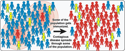 Illustration of community immunity when some are immunized but not enough for herd immunity